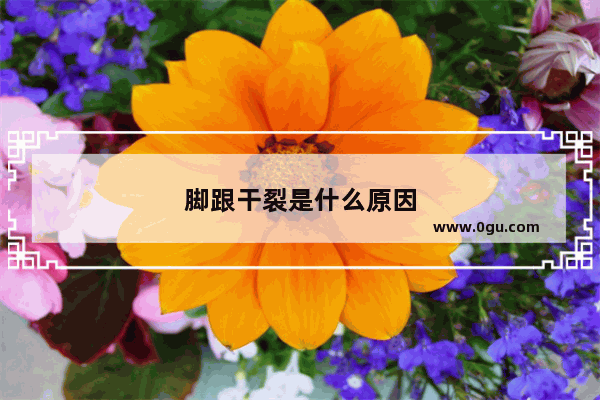 脚跟干裂是什么原因