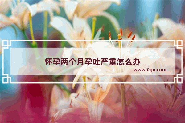 怀孕两个月孕吐严重怎么办