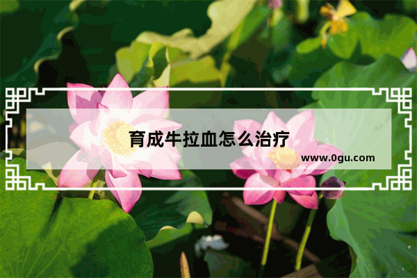 育成牛拉血怎么治疗