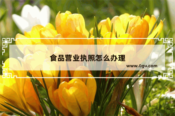 食品营业执照怎么办理
