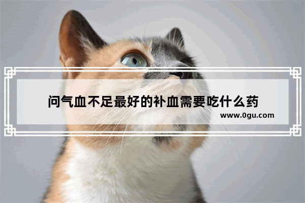 问气血不足最好的补血需要吃什么药