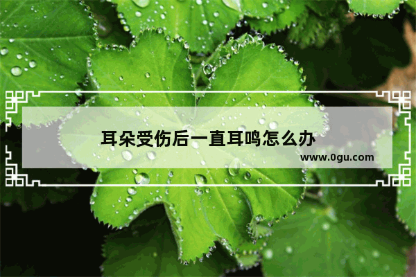 耳朵受伤后一直耳鸣怎么办