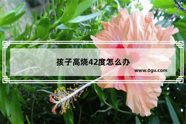 孩子高烧42度怎么办