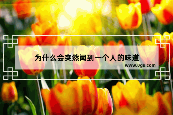 为什么会突然闻到一个人的味道
