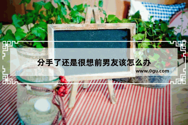 分手了还是很想前男友该怎么办