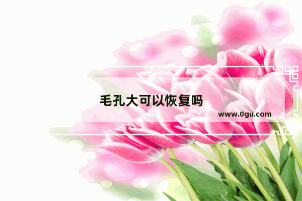 毛孔大可以恢复吗