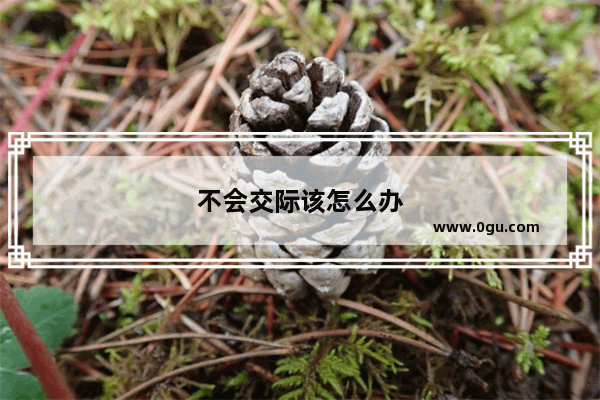 不会交际该怎么办