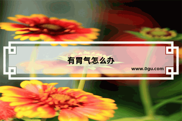 有胃气怎么办