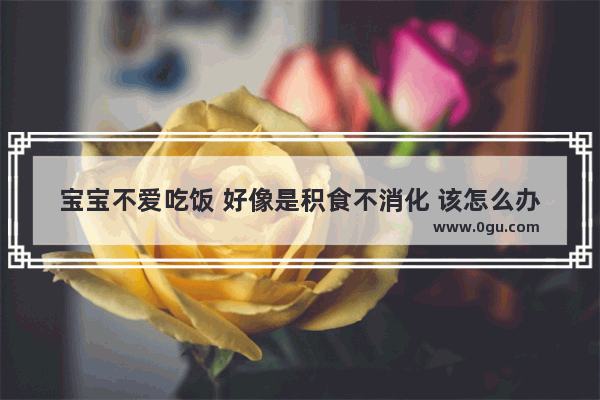 宝宝不爱吃饭 好像是积食不消化 该怎么办