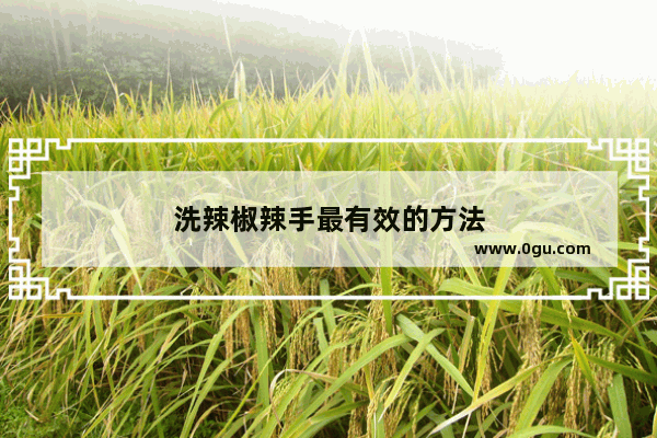洗辣椒辣手最有效的方法