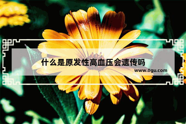什么是原发性高血压会遗传吗