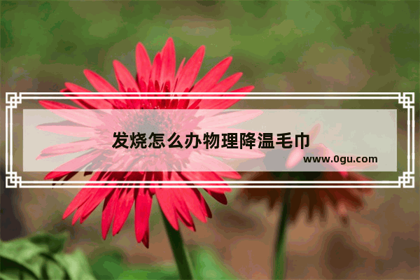 发烧怎么办物理降温毛巾