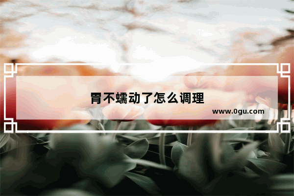 胃不蠕动了怎么调理