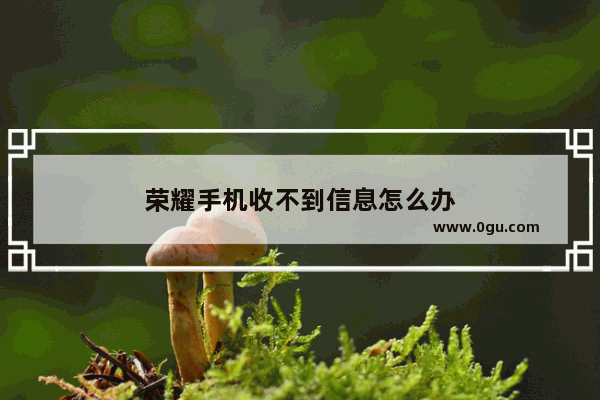 荣耀手机收不到信息怎么办