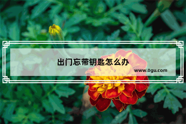 出门忘带钥匙怎么办