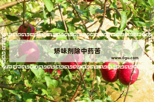 矫味剂除中药苦