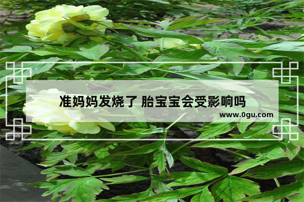 准妈妈发烧了 胎宝宝会受影响吗
