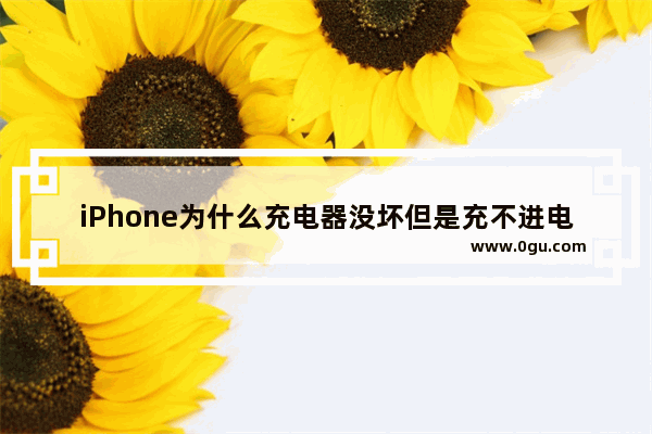 iPhone为什么充电器没坏但是充不进电