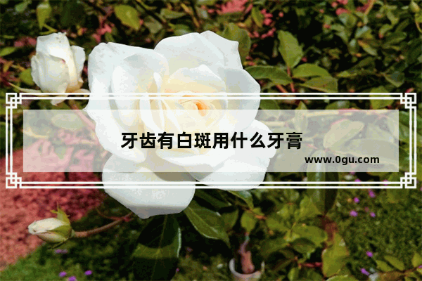 牙齿有白斑用什么牙膏