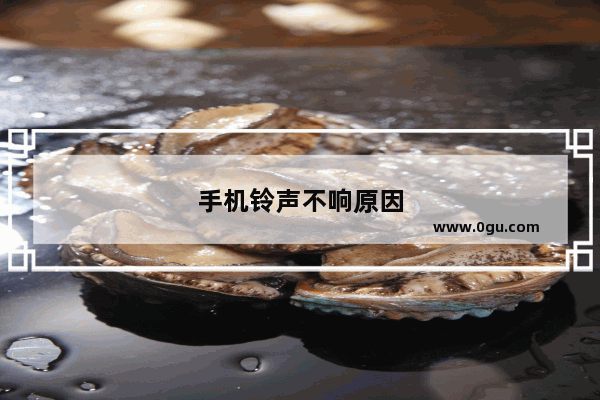 手机铃声不响原因