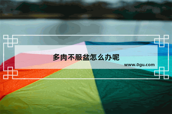 多肉不服盆怎么办呢