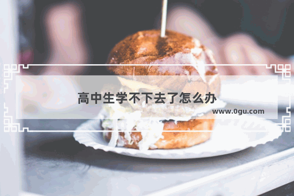 高中生学不下去了怎么办