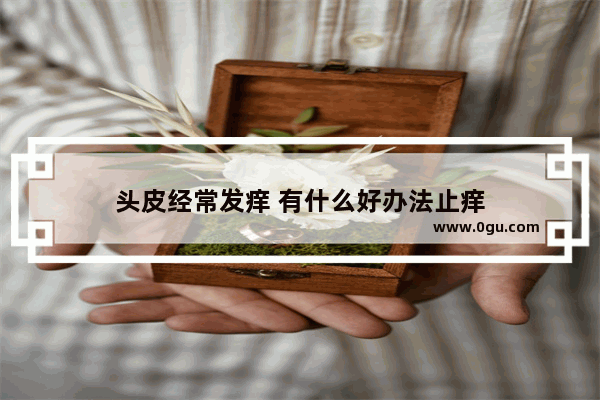 头皮经常发痒 有什么好办法止痒