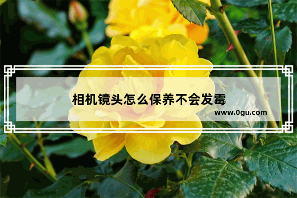 相机镜头怎么保养不会发霉