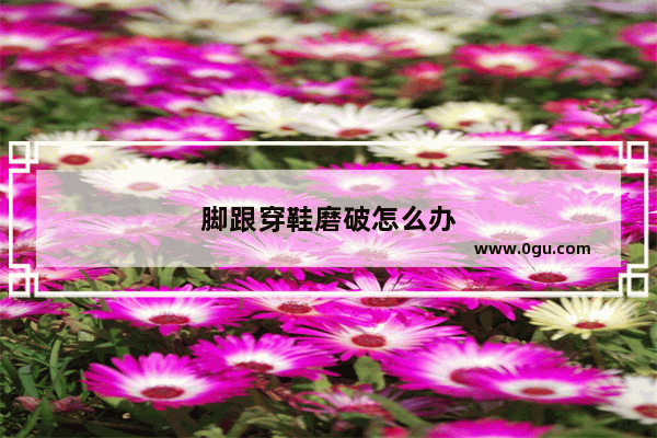 脚跟穿鞋磨破怎么办