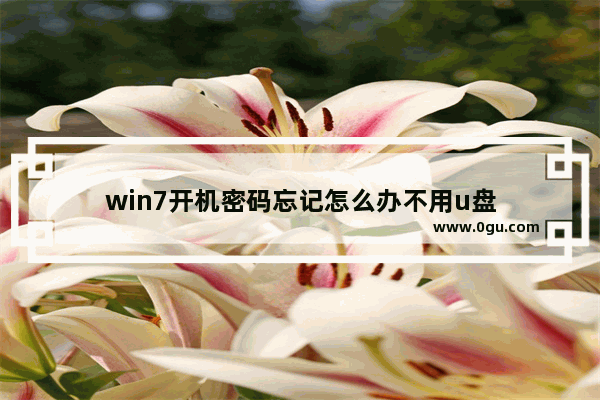 win7开机密码忘记怎么办不用u盘