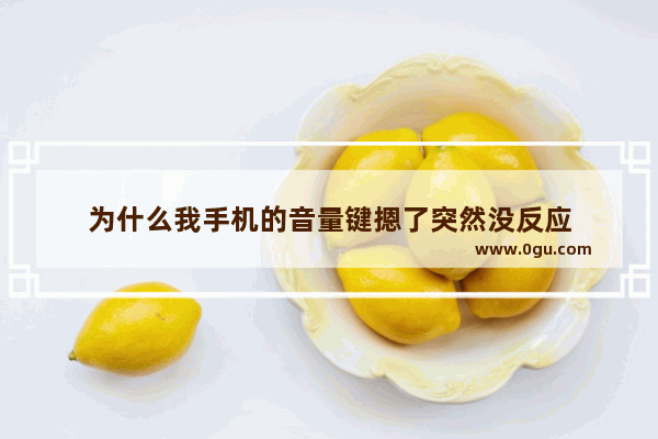 为什么我手机的音量键摁了突然没反应