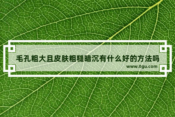 毛孔粗大且皮肤粗糙暗沉有什么好的方法吗