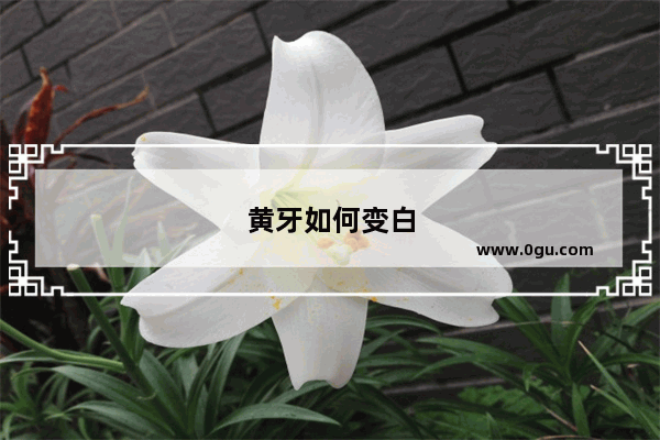 黄牙如何变白