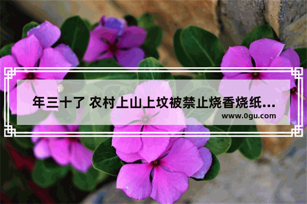 年三十了 农村上山上坟被禁止烧香烧纸放鞭炮 你还会去上坟吗？去的话怎么办