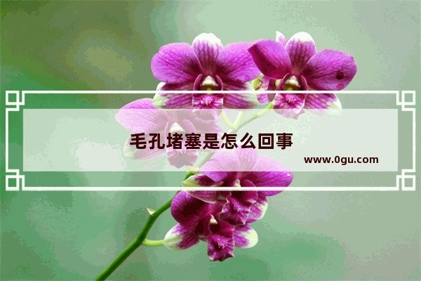 毛孔堵塞是怎么回事