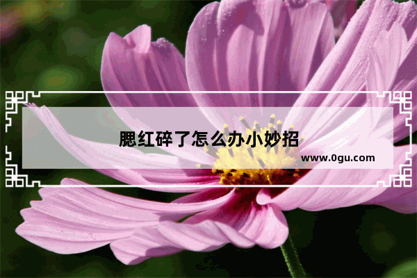 腮红碎了怎么办小妙招