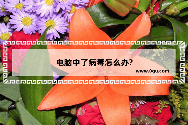 电脑中了病毒怎么办?
