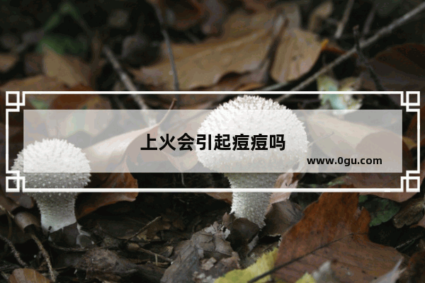 上火会引起痘痘吗