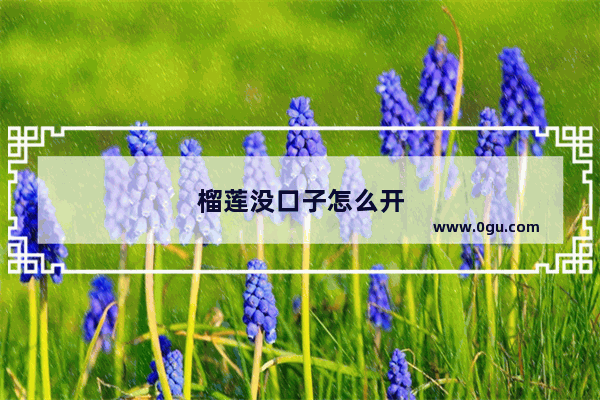 榴莲没口子怎么开