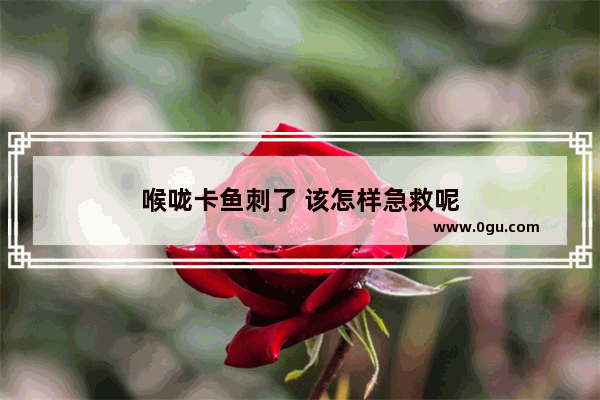 喉咙卡鱼刺了 该怎样急救呢