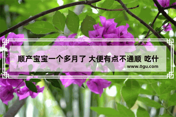 顺产宝宝一个多月了 大便有点不通顺 吃什么东西可以防止便秘
