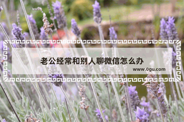 老公经常和别人聊微信怎么办