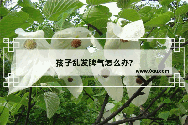孩子乱发脾气怎么办?