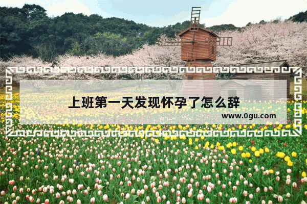 上班第一天发现怀孕了怎么辞