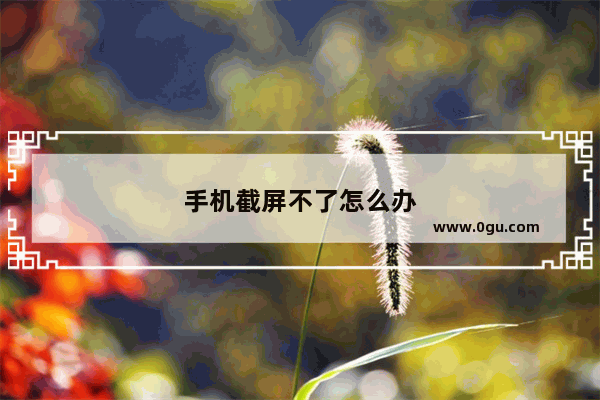 手机截屏不了怎么办