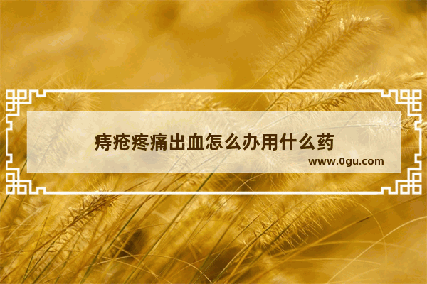 痔疮疼痛出血怎么办用什么药