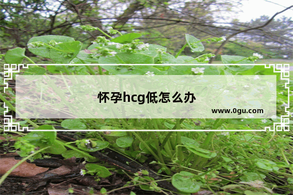 怀孕hcg低怎么办