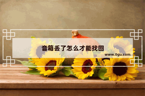 音箱丢了怎么才能找回