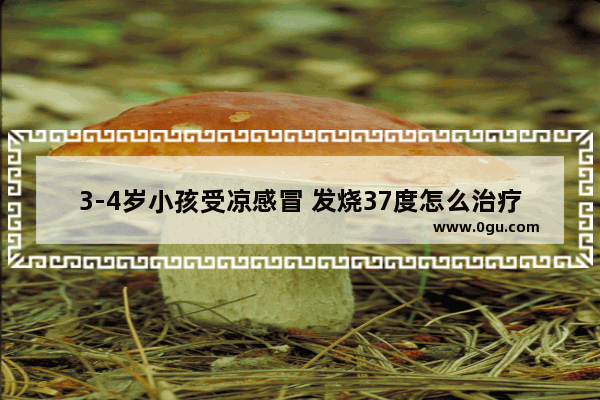 3-4岁小孩受凉感冒 发烧37度怎么治疗