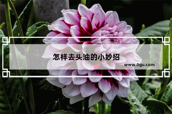 怎样去头油的小妙招